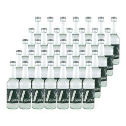 Agua mineral natural con gas Insalus 27.5 cl caja 35 botellas