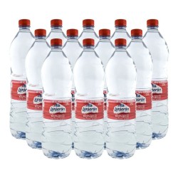 Agua mineral Lanjarón 1.5 litros pack 12 botellas