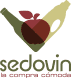 Sedovin